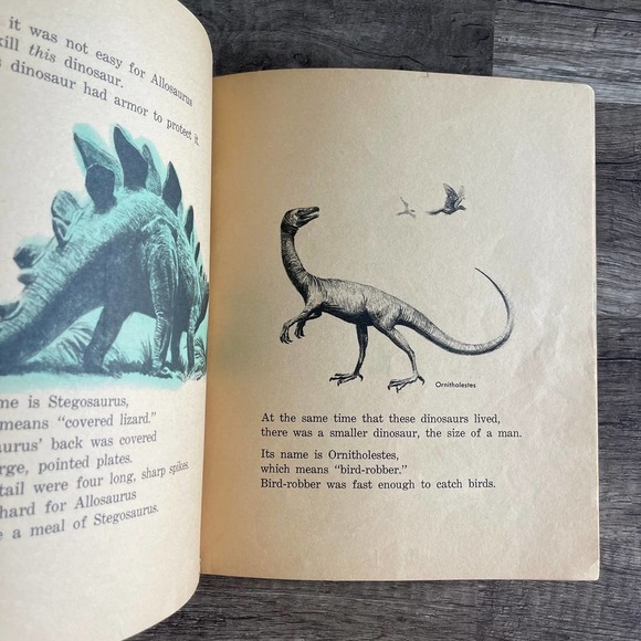 DINOSAUR STORY by JOANNA COLE MORT KUNSTLER | SCHOLASTIC [ VINTAGE 1974 ] - Picture 5 of 12